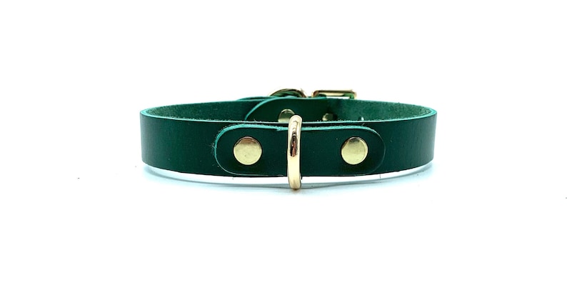 BDSM Day Collar "Mona", 0.75" Submissive Choker Collar